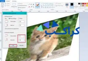 التحكم في ميل زاوية الصورة