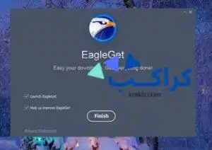 تحميل برنامج EagleGet