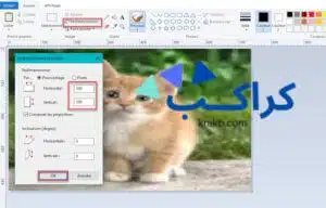 طريقة ضبط حجم الصورة